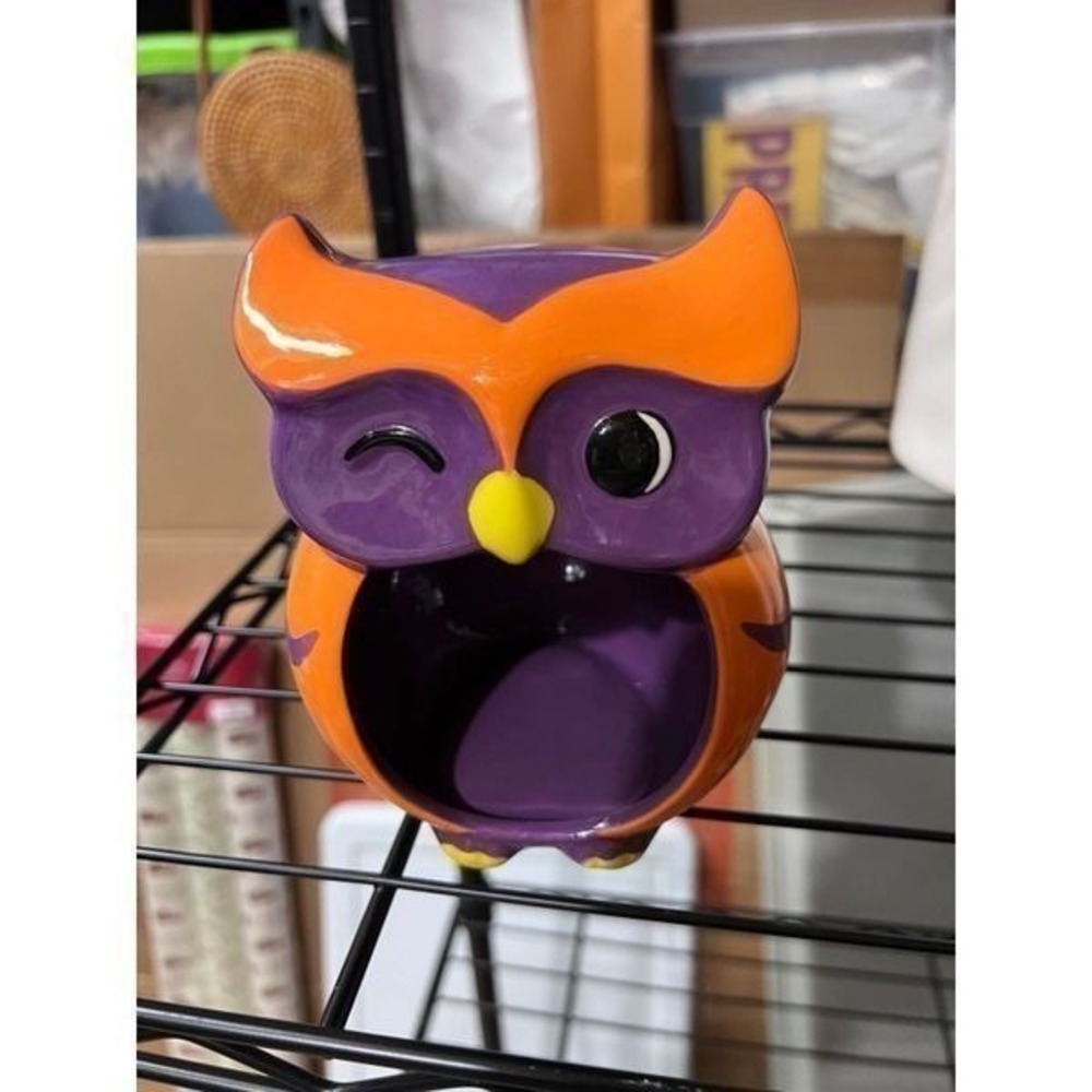 Winking Owl sponge holder